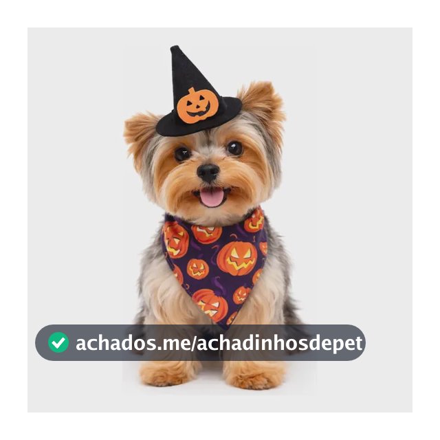 Fantasia Pet Halloween Bandana Chapéu Dia Das Bruxas Macho