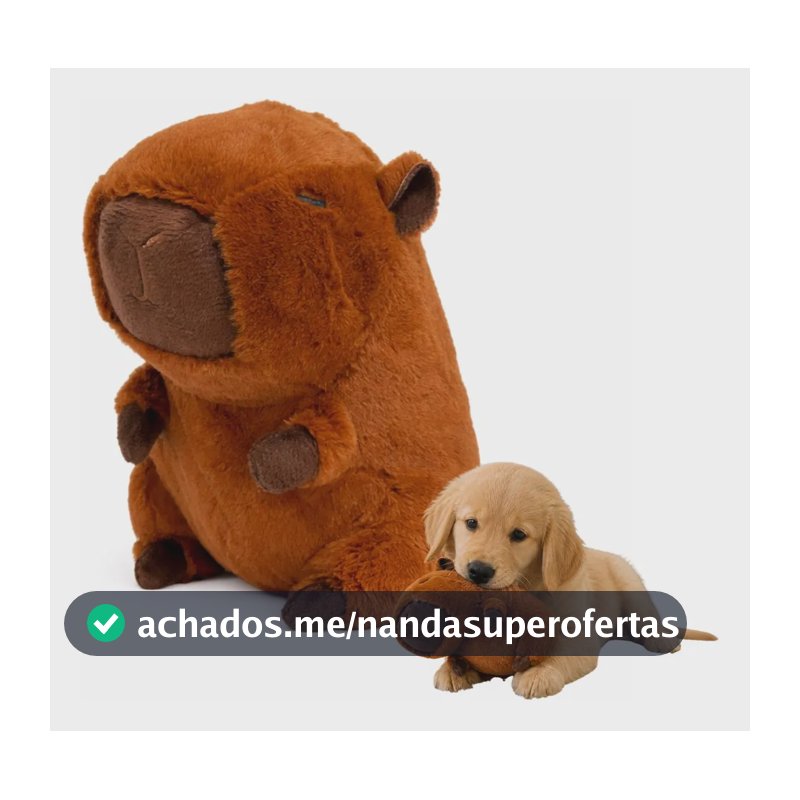 Brinquedo Para Cachorro Pelúcia Capivara Com Apito
