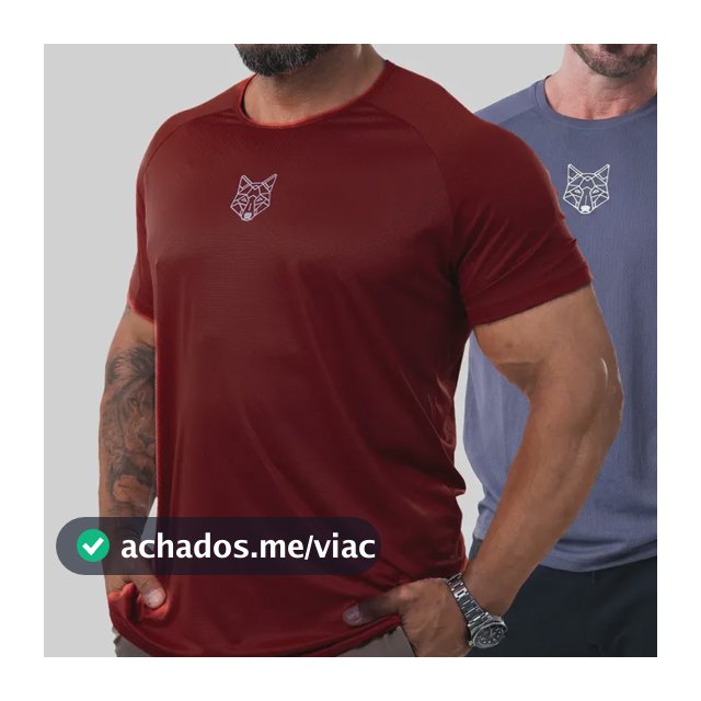 Kit 2 Camisetas Masculina Dry Alpha