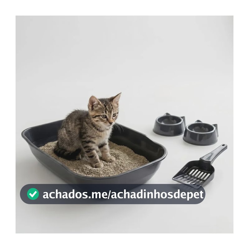 Caixa de Areia Aberta Média Para Gato Durapet's Kit Higiênico Preto