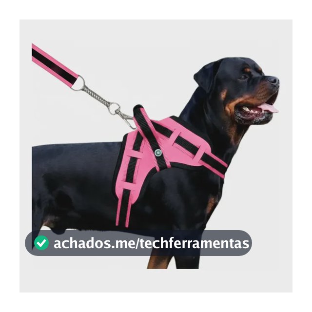 Guia Para Cães Coleira Peitoral Com Alça Reforçado Pit Bull