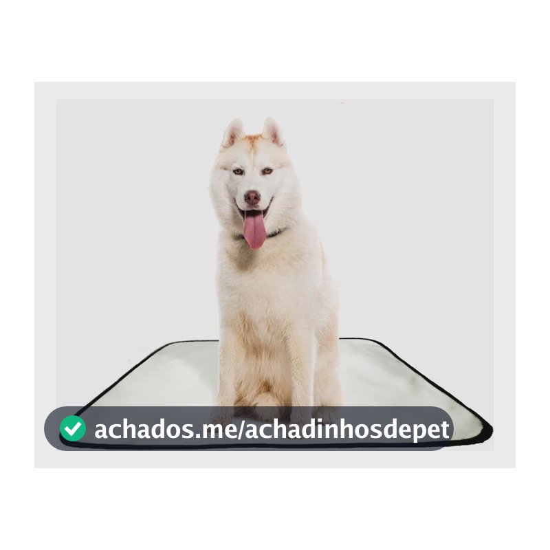 Kit 2 Tapetes Higiênicos Laváveis Shelby Moda Pet 60x80cm Cães
