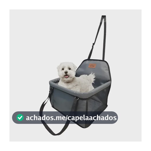Cadeira Para Pet Assento Carro Seguro Até 15kg Ganhe Coleira