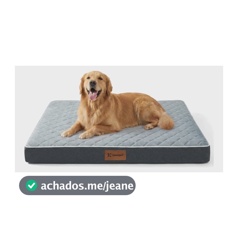 Cama Caminha Cachorros Pet Grande Ortopédica Espuma Viscoelástica Premium C/capa Lavável 90×67×9