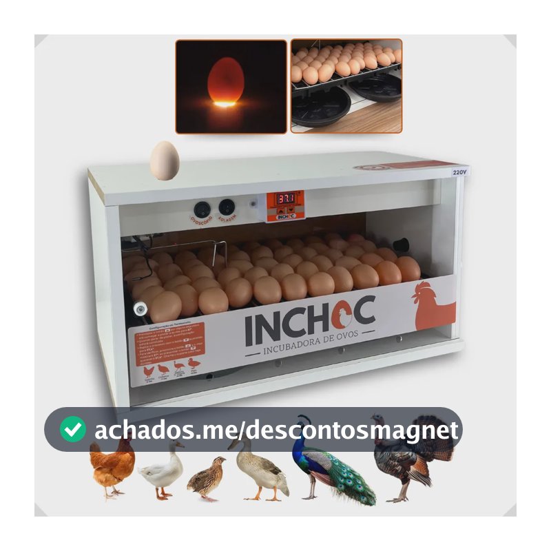 Chocadeira Rolagem Automatica 100 Ovos Codorna E 50 Galinha