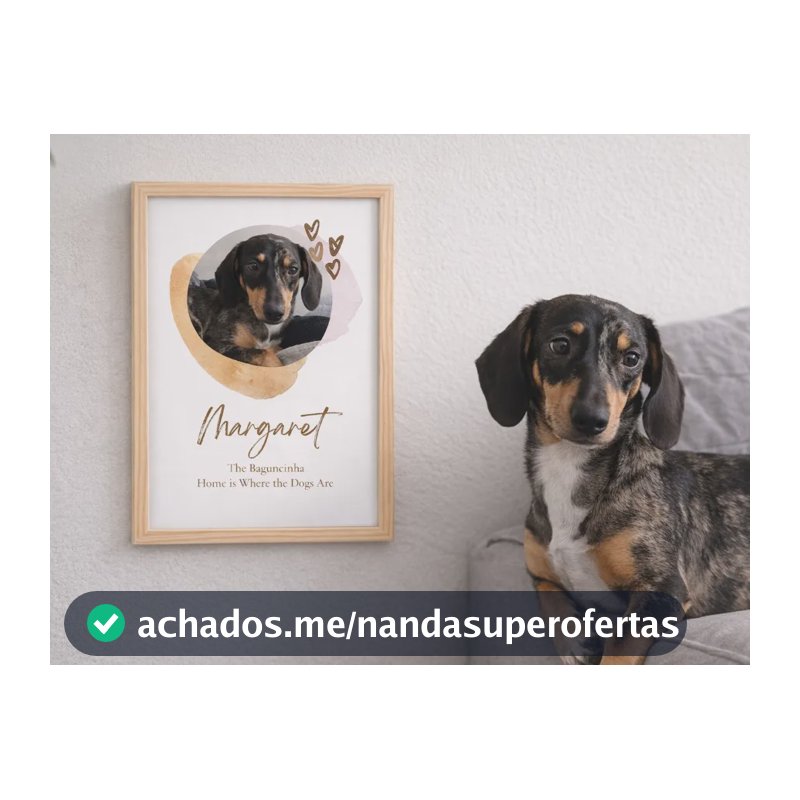 Quadro Personalizado Pet Cachorro Gato Foto Moldura A4 Bege A4 Moldura Pinus