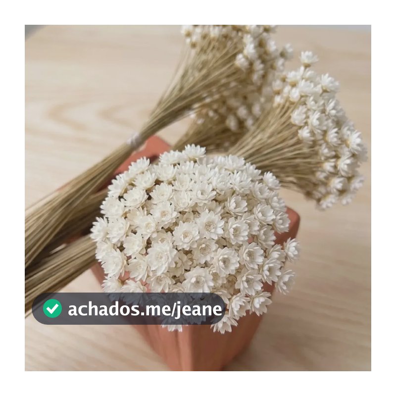 Sempre Viva Natural Branca 1 Buquê 300 Flores Secas Desidratadas Tipo Mosquitinho Para Decoração Arranjos Casamento Festa Centro De Mesa Artesanato Flor Lembrancinhas Eventos Vaso Decoração Casa