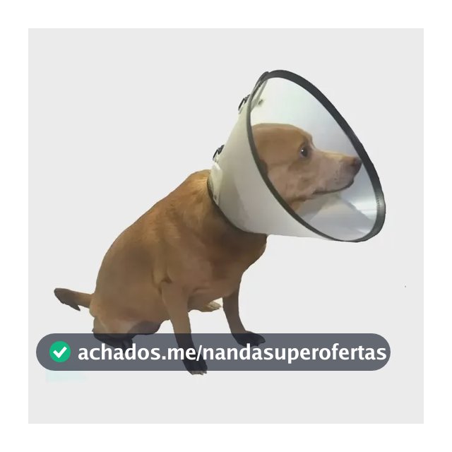 Colar Cirúrgico Elizabetano Para Cães Cachorros Do N1 Ao N10