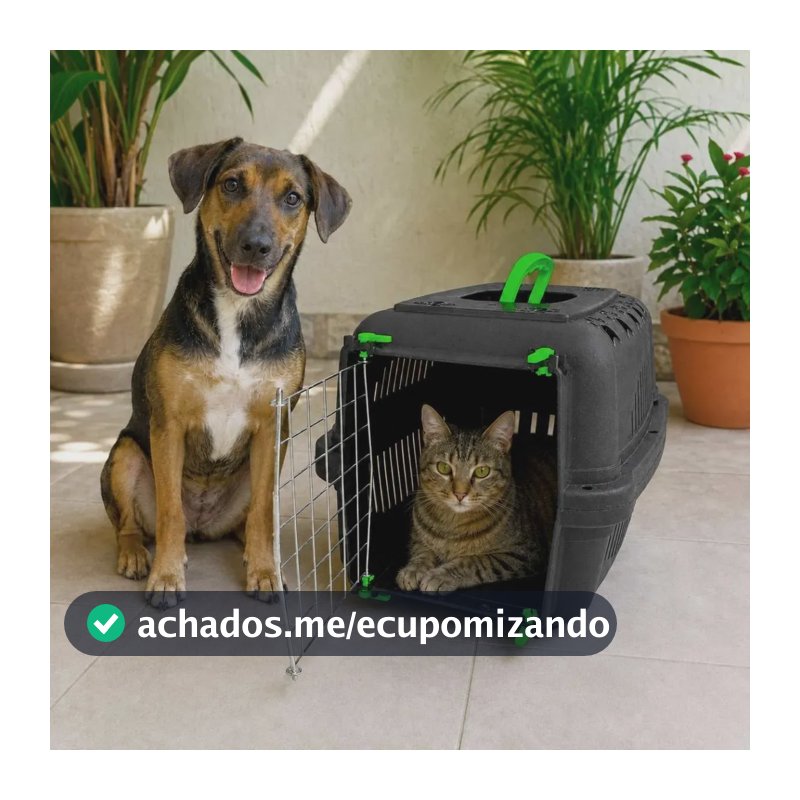 Caixa de Transporte Portinha de Aço Pet Cachorros Gatos Coelho Reforçado com Ventilação Grande Pequena Nº1 Cor Verde