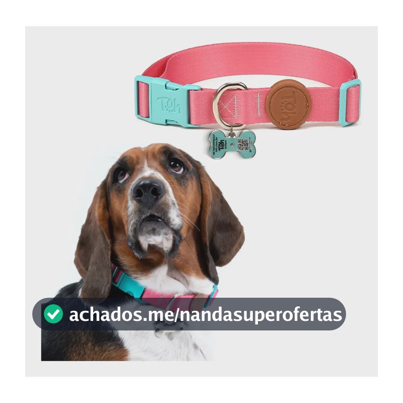 Coleira Pingente Identificação Tag Qr Code Toh Dog Cor Rosa Estampado Tamanho da coleira M