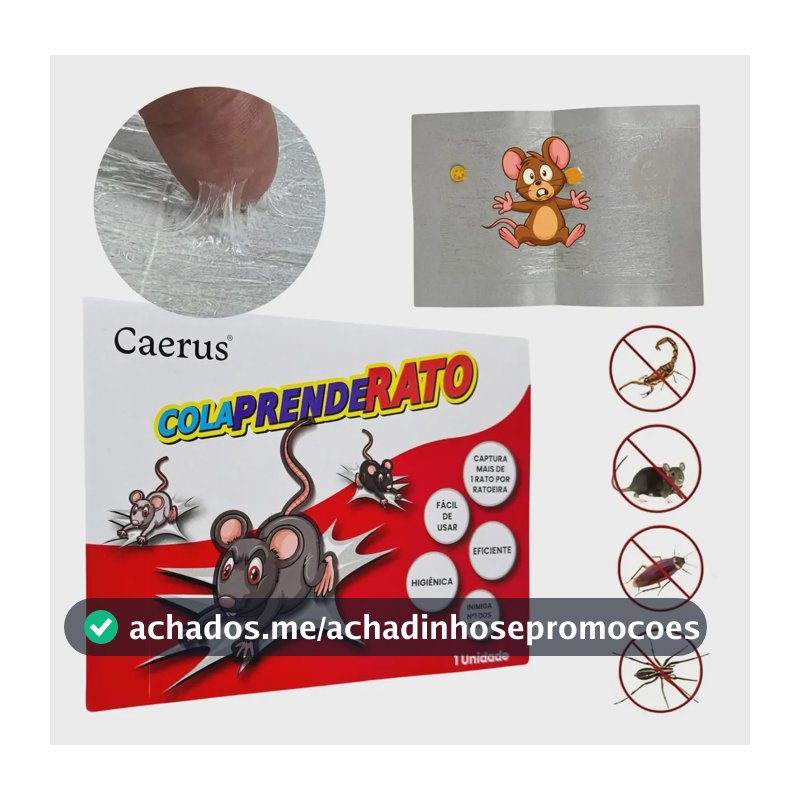 Kit 10 Ratoeira Adesiva Cola Rato Aranha Barata Mosca Premiu