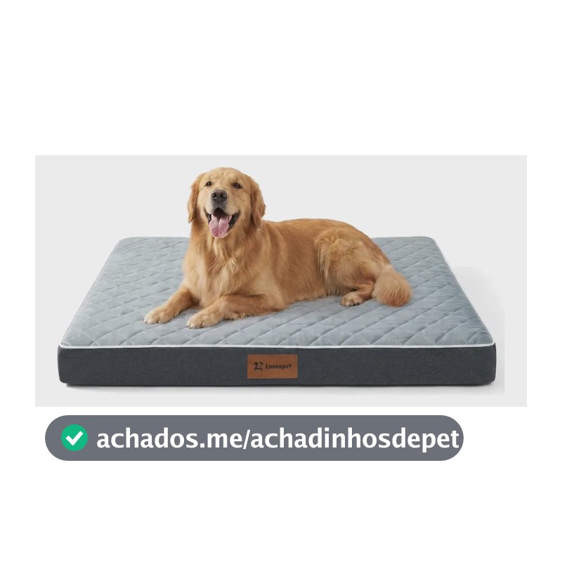 Cama Caminha Cachorros Pet Grande Ortopédica Espuma Viscoelástica Premium C/capa Lavável 90×67×9