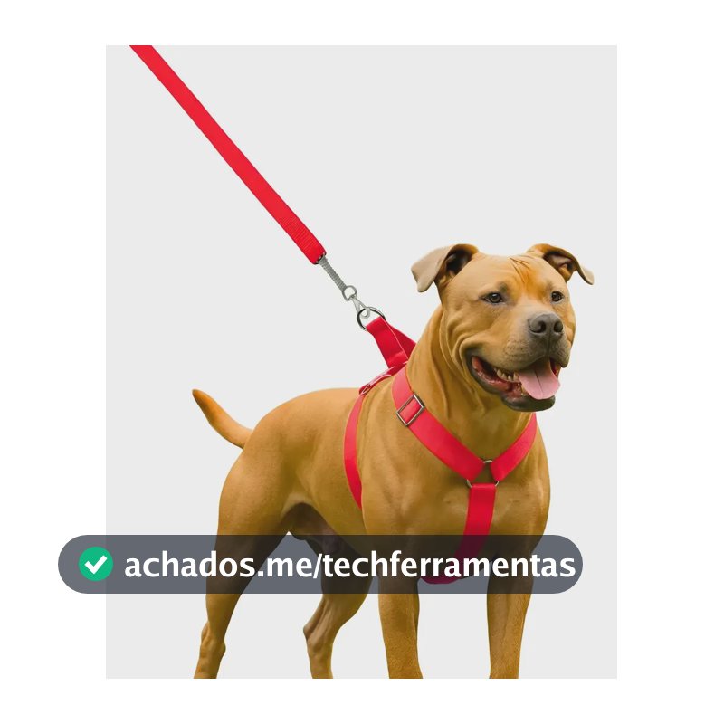 Coleira Peitoral Guia Para Cachorro Pit Bull Reforçada Vermelho