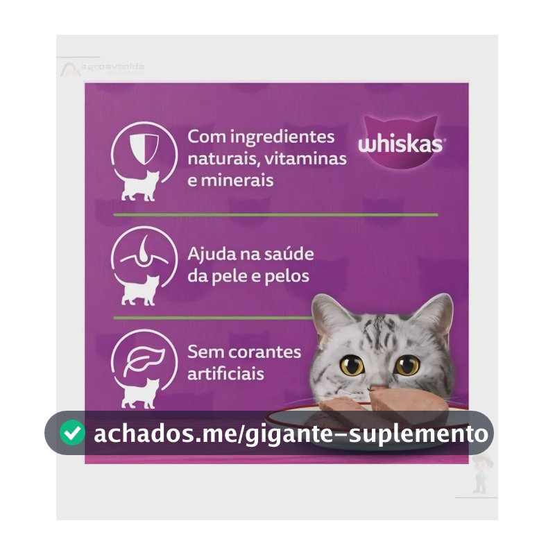 Whiskas Patê Alimento Úmido Gato Sabor Atum Kit 4 Latas 1.16kg