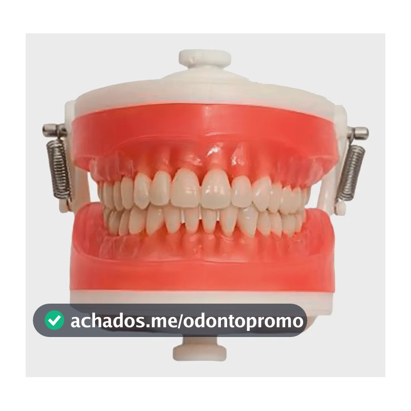 Manequim Articulado Universal Top Dentística Pd100 - Pronew