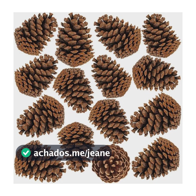 Kit 20 Pinhas Grandes Natal Naturais Decoração Artesanato