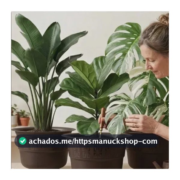 Kit 3 Vasos Redondos 5 Litros Decorativos Plantas E Flores T Café Grego