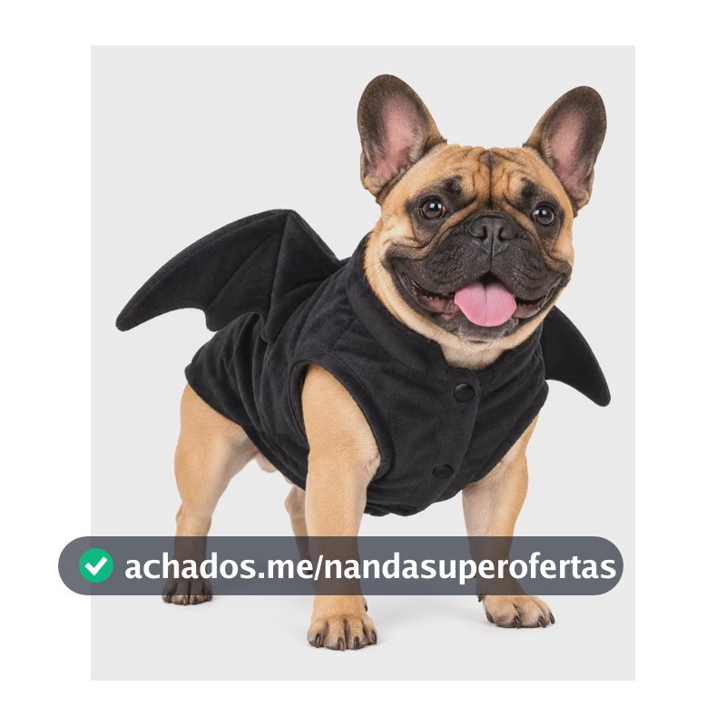 Roupa Morcego Noturno Fantasia Halloween Para Cachorro Gg
