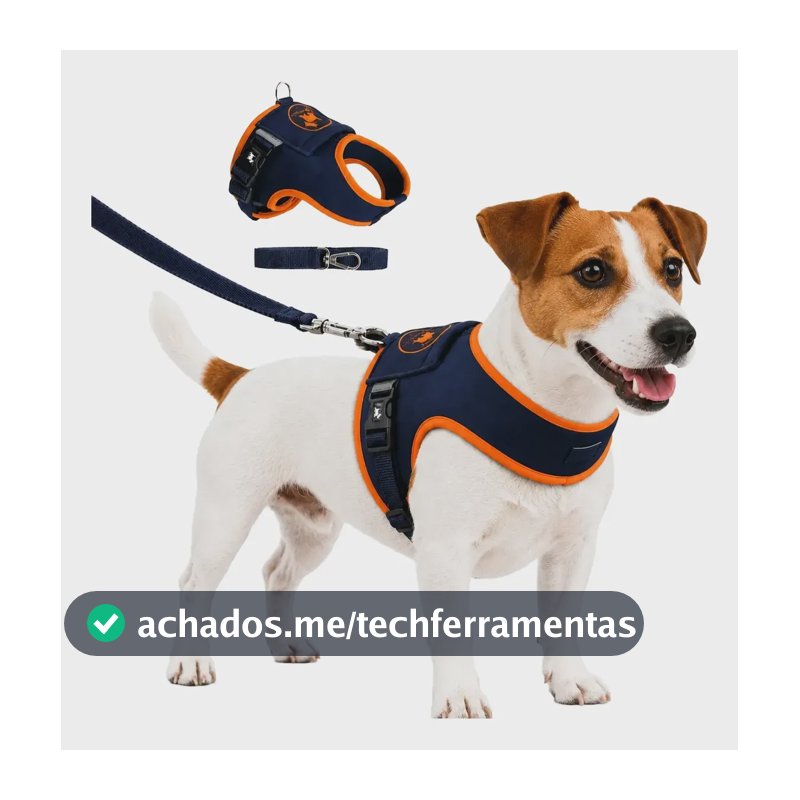 Coleira Peitoral Para Cachorro Gato Com Guia Resistente Marinho Com Laranja 1