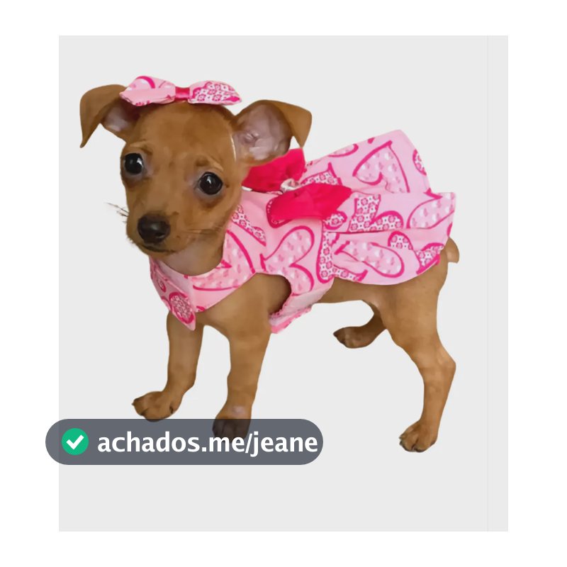 3 Mini Vestido Tamanho 00 Para Cachorro Filhote Pinscher