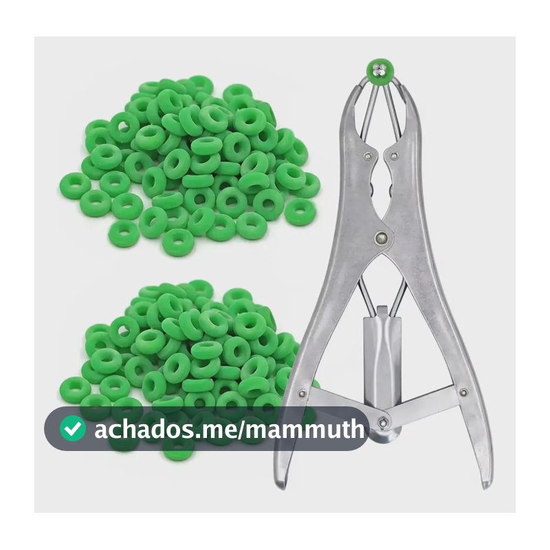 Alicate Elastradora P/ Castrar Bovinos Caprinos Ovinos Metal Prateado