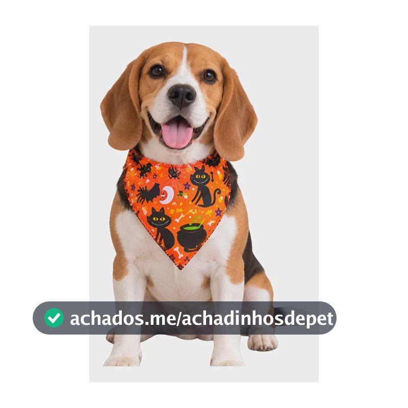 20 Bandanas Pet Halloween Cachorro Pet Shop Banho E Tosa Halloween C/ 20 Bandanas M