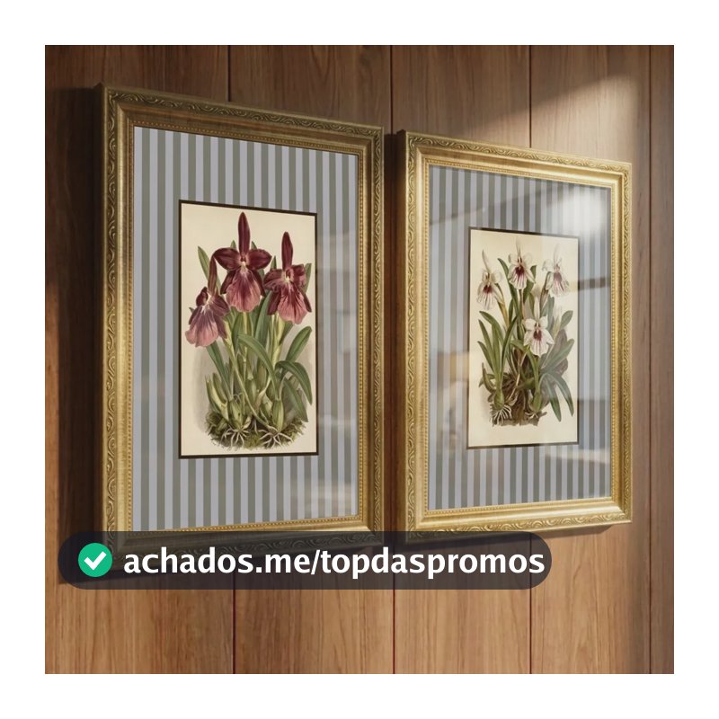 Quadro Decorativo Orquídea Flores Luxo Moldura Dourada Vidro Branco Dourado