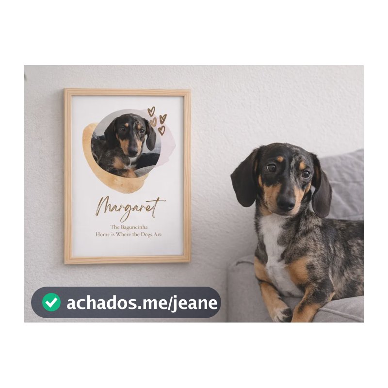 Quadro Personalizado Pet Cachorro Gato Foto Moldura A4 Bege A4 Moldura Pinus
