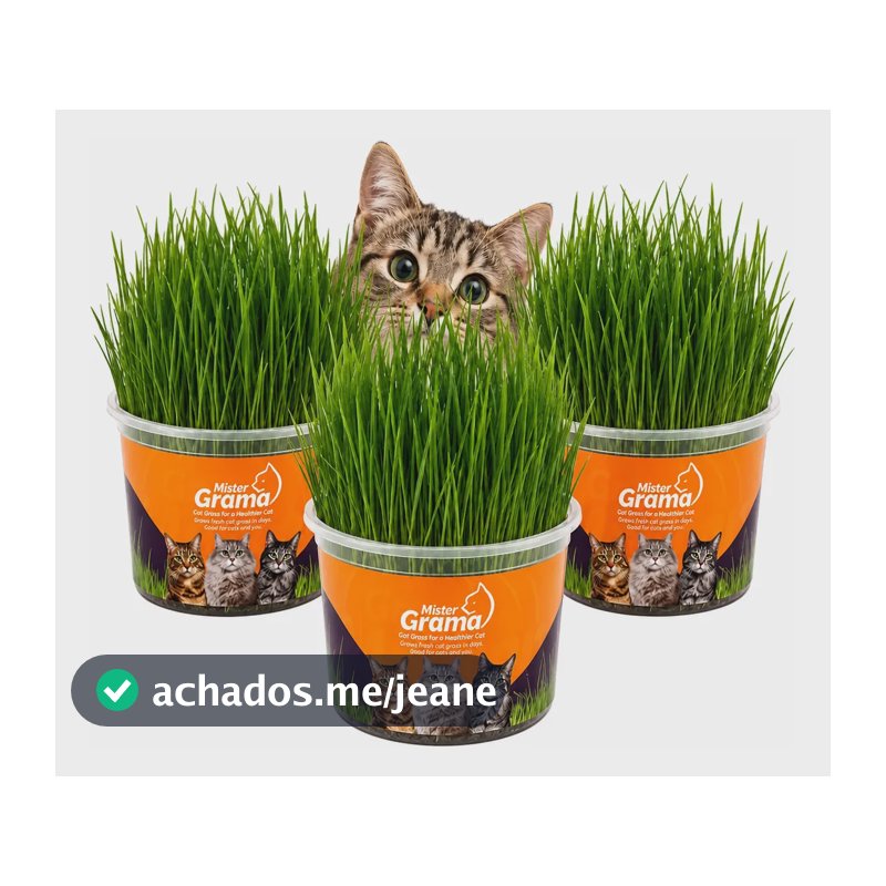 Graminha Gatos Mister Auxilia Na Digestão E Bola De Pelo 3un