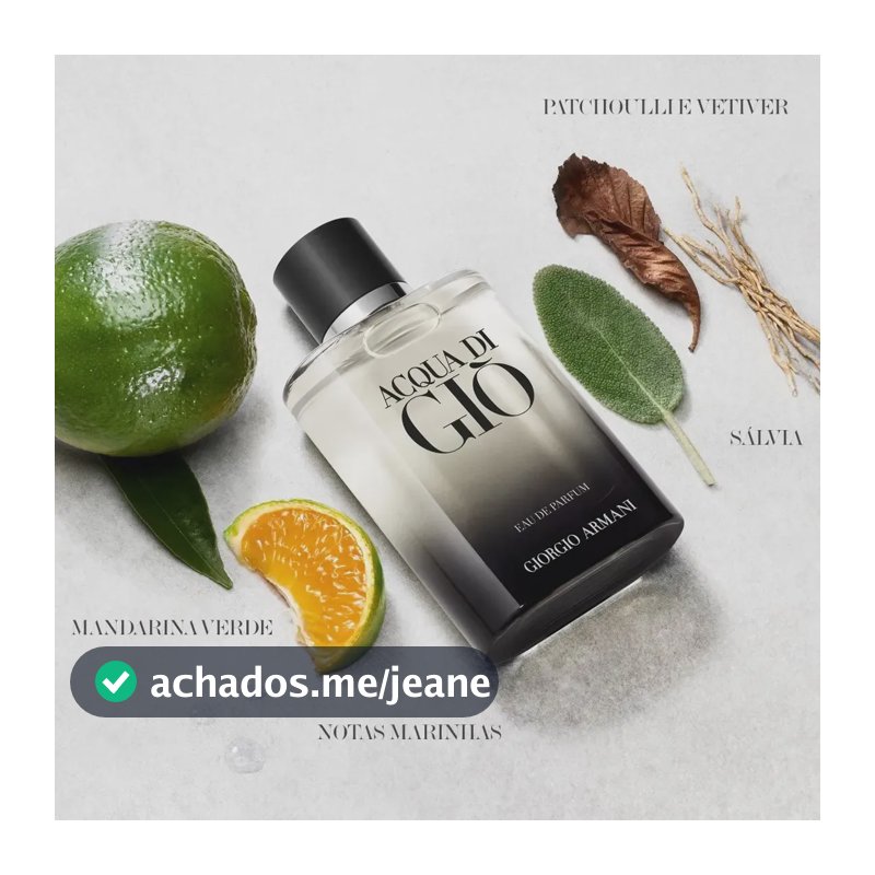 Perfume Masculino Giorgio Armani Acqua di Giò Eau de Parfum Refilável 100ml