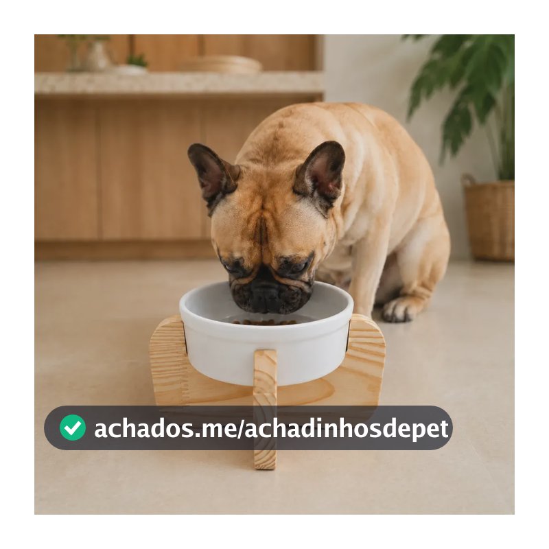 Comedouro Elevado Mádela Para Cachorro E Gato Com Porcelana Porte P E M