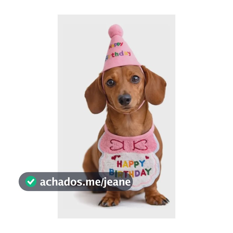 Kit Chapéu+bandana Festa Aniversário Pet Cachorro/gato Rosa Pequeno
