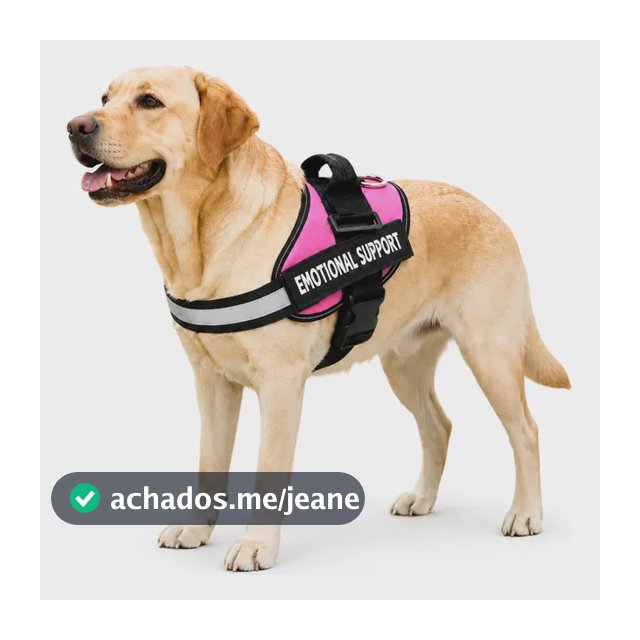 Peitoral Refletivo Tipo Colete Para Cachorro Rose Red M