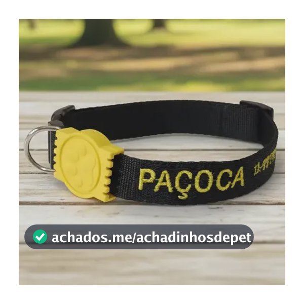 Coleira Para Cachorro Personalizada Nome Telefone Bordados