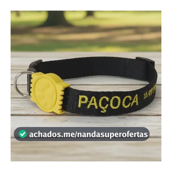Coleira Para Cachorro Personalizada Nome Telefone Bordados