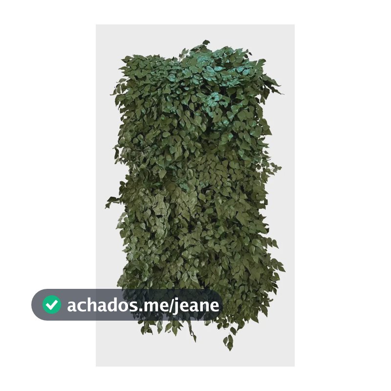 Jardim Vertical Preservado Natural Desidratado 100x50cm Verde-escuro